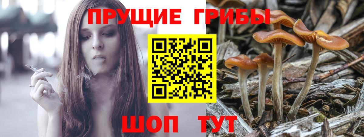 Псилоцибиновые грибы прущие грибы Похвистнево