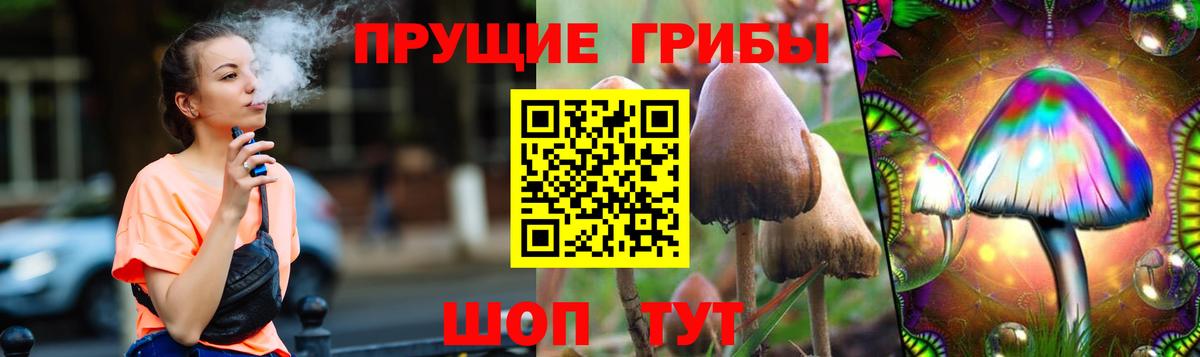 Похвистнево  наркошоп  Вход с VPN  Псилоцибиновые грибы мухоморы 